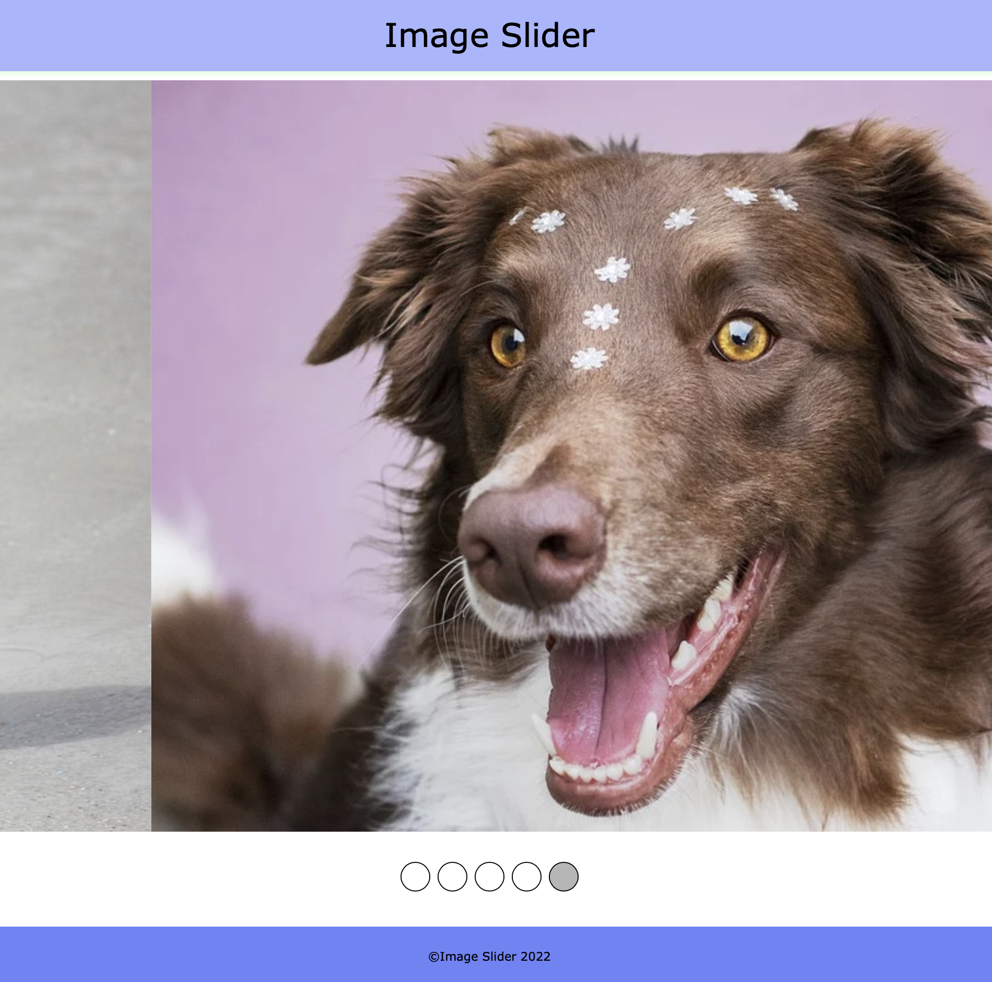 Image Slider